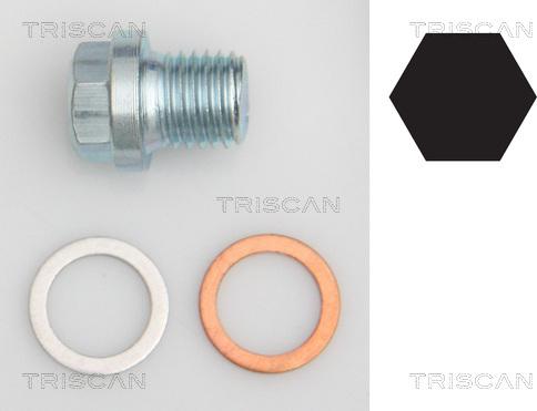 Triscan 9500 1011 - Vite di chiusura, vaschetta dell'olio autozon.pro