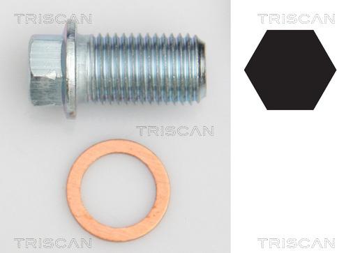 Triscan 9500 1012 - Vite di chiusura, vaschetta dell'olio autozon.pro