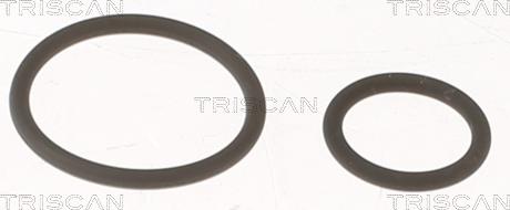 Triscan 596-1001 - Kit guarnizioni, Iniettore autozon.pro