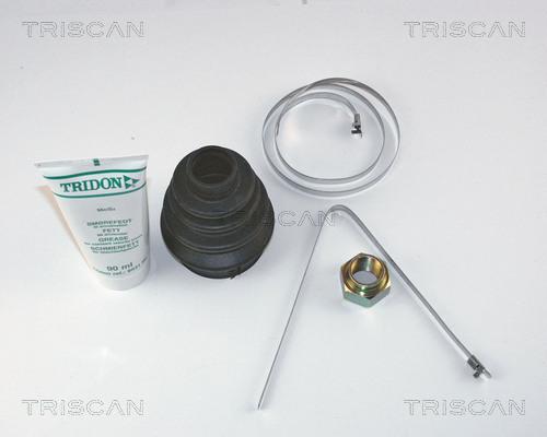 Triscan 8540 15905 - Cuffia, Semiasse autozon.pro