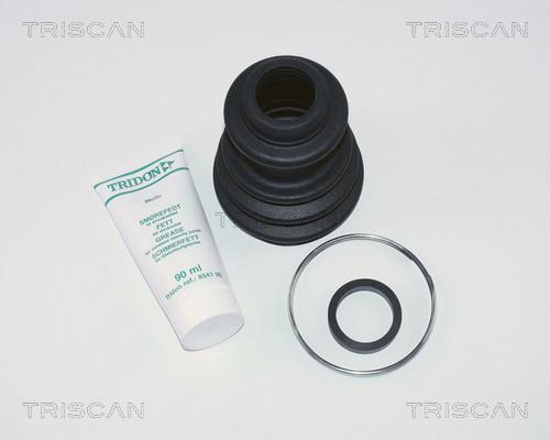 Triscan 8540 10806 - Cuffia, Semiasse autozon.pro