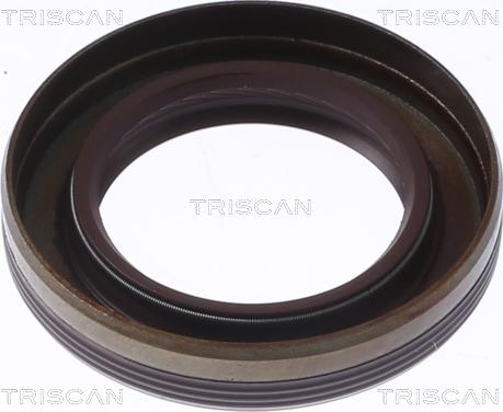 Triscan 8550 29028 - Paraolio, Albero a camme autozon.pro