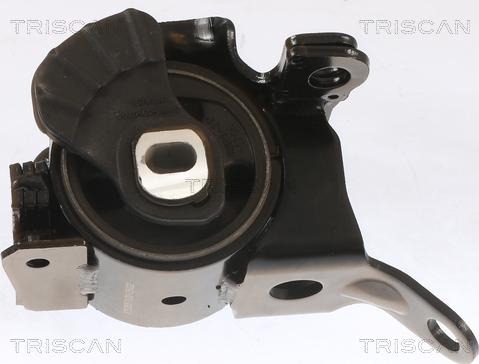 Triscan 8505 50100 - Sospensione, Motore autozon.pro