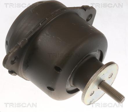 Triscan 8505 65103 - Sospensione, Motore autozon.pro