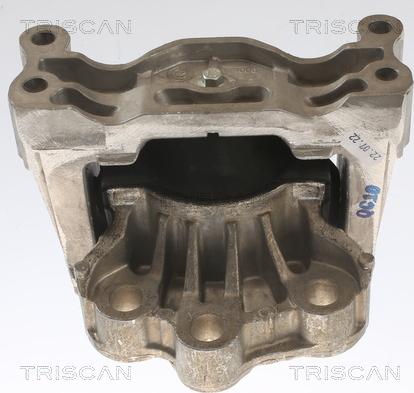 Triscan 8505 16121 - Sospensione, Motore autozon.pro