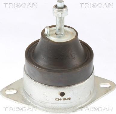 Triscan 8505 10119 - Sospensione, Motore autozon.pro