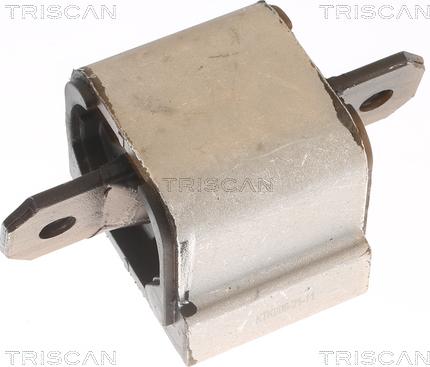 Triscan 8505 10203 - Supporto, Cambio automatico autozon.pro