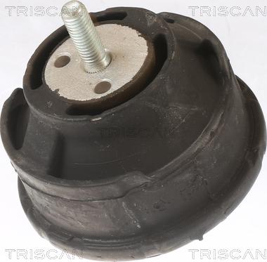 Triscan 8505 11101 - Sospensione, Motore autozon.pro