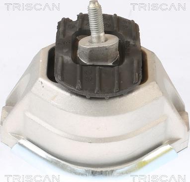 Triscan 8505 11115 - Sospensione, Motore autozon.pro