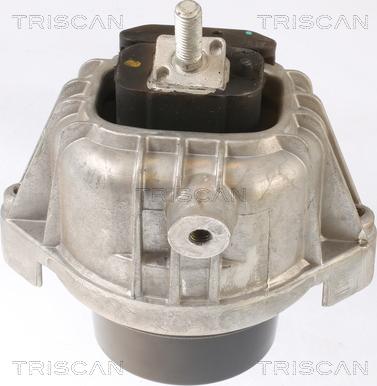 Triscan 8505 11110 - Sospensione, Motore autozon.pro