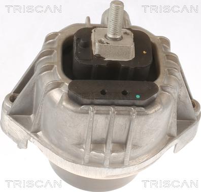 Triscan 8505 11111 - Sospensione, Motore autozon.pro