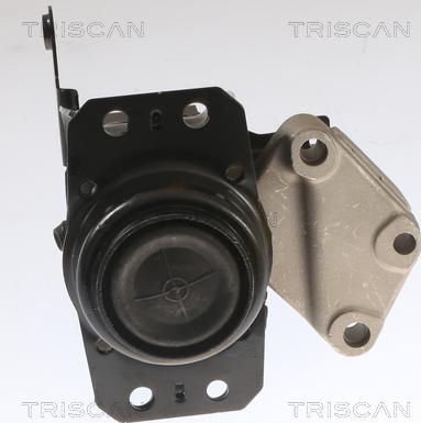 Triscan 8505 11208 - Supporto, Cambio automatico autozon.pro