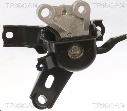 Triscan 8505 13101 - Sospensione, Motore autozon.pro