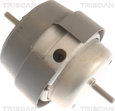 Triscan 8505 29169 - Sospensione, Motore autozon.pro