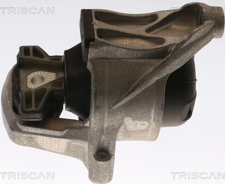 Triscan 8505 29168 - Sospensione, Motore autozon.pro