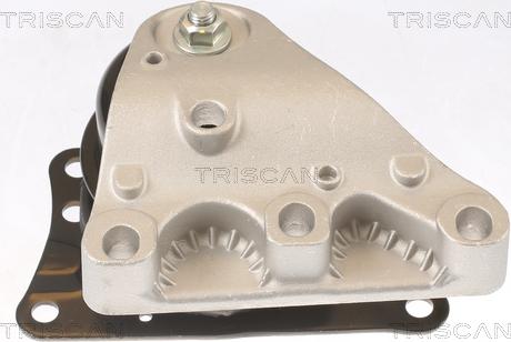 Triscan 8505 29110 - Sospensione, Motore autozon.pro