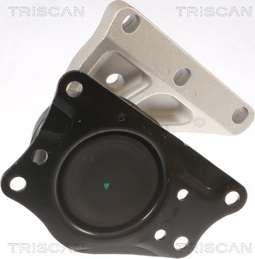 Triscan 8505 29110 - Sospensione, Motore autozon.pro