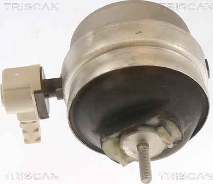 Triscan 8505 29111 - Sospensione, Motore autozon.pro