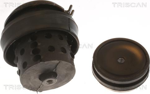 Triscan 8505 29118 - Sospensione, Motore autozon.pro