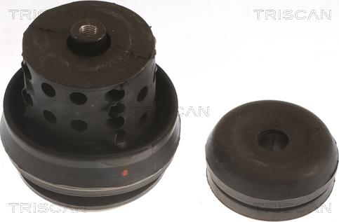 Triscan 8505 29118 - Sospensione, Motore autozon.pro