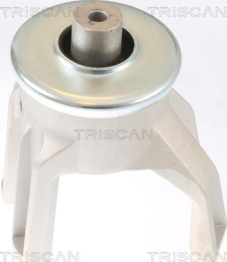 Triscan 8505 29187 - Sospensione, Motore autozon.pro