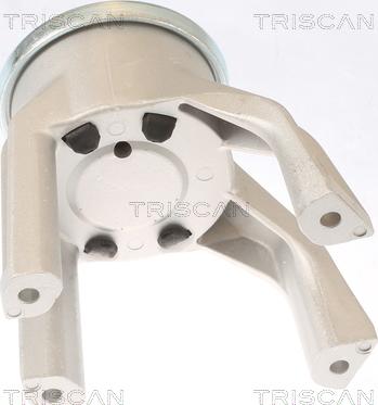 Triscan 8505 29187 - Sospensione, Motore autozon.pro