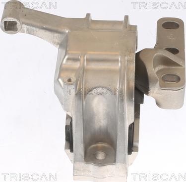 Triscan 8505 29134 - Sospensione, Motore autozon.pro