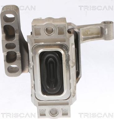 Triscan 8505 29134 - Sospensione, Motore autozon.pro