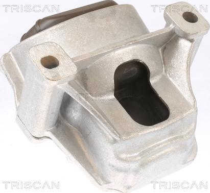 Triscan 8505 29130 - Sospensione, Motore autozon.pro