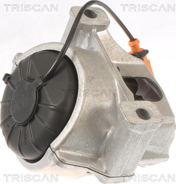 Triscan 8505 29133 - Sospensione, Motore autozon.pro