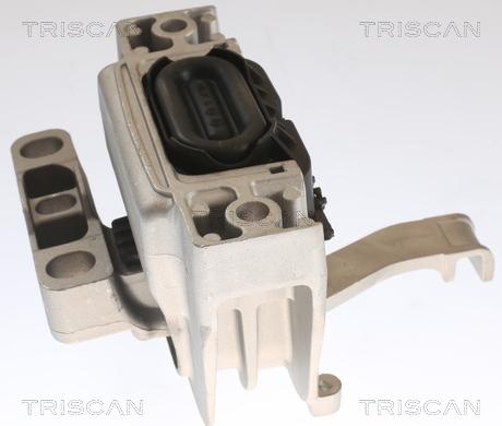 Triscan 8505 29129 - Sospensione, Motore autozon.pro