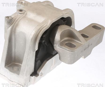 Triscan 8505 29124 - Sospensione, Motore autozon.pro