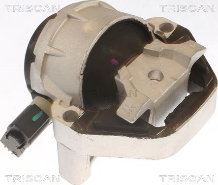 Triscan 8505 29170 - Sospensione, Motore autozon.pro