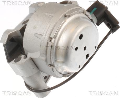 Triscan 8505 29171 - Sospensione, Motore autozon.pro