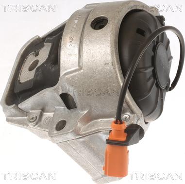 Triscan 8505 29178 - Sospensione, Motore autozon.pro