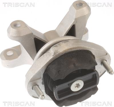 Triscan 8505 29202 - Supporto, Cambio automatico autozon.pro