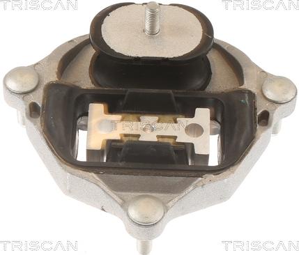 Triscan 8505 29215 - Supporto, Cambio automatico autozon.pro