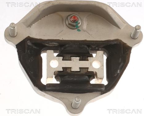 Triscan 8505 29216 - Supporto, Cambio automatico autozon.pro