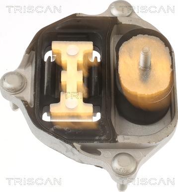 Triscan 8505 29218 - Supporto, Cambio automatico autozon.pro