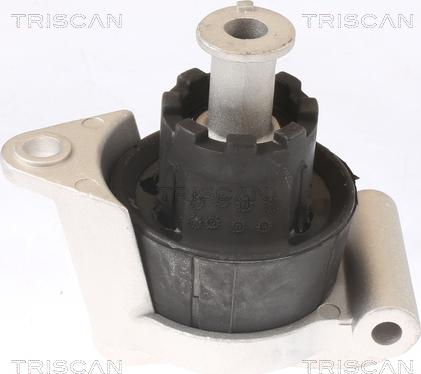 Triscan 8505 24103 - Sospensione, Motore autozon.pro