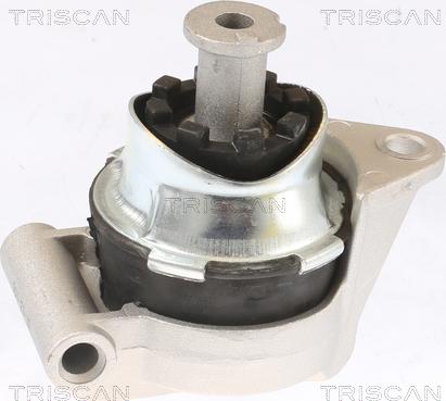 Triscan 8505 24117 - Sospensione, Motore autozon.pro