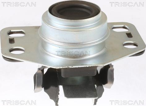 Triscan 8505 25107 - Sospensione, Motore autozon.pro