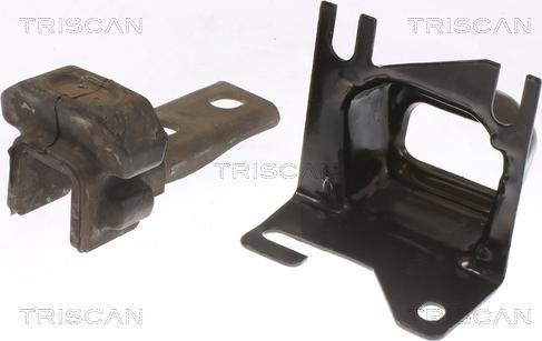 Triscan 8505 25117 - Sospensione, Motore autozon.pro