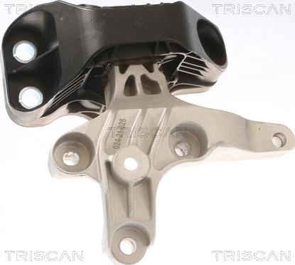 Triscan 8505 25121 - Sospensione, Motore autozon.pro