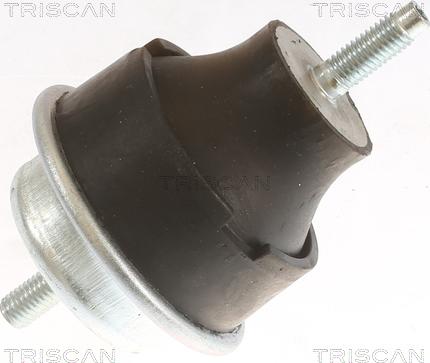 Triscan 8505 28113 - Sospensione, Motore autozon.pro