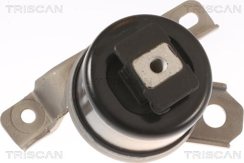 Triscan 8505 27107 - Sospensione, Motore autozon.pro