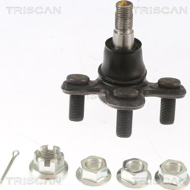 Triscan 8500 40591 - Giunto di supporto / guida autozon.pro