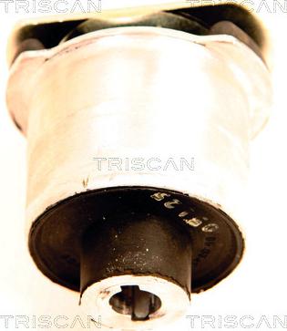 Triscan 8500 65834 - Supporto, Corpo assiale autozon.pro