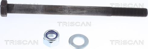 Triscan 8500 15850 - Kit montaggio, Braccio oscillante autozon.pro