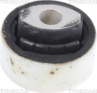 Triscan 8500 15807 - Supporto, Braccio oscillante autozon.pro